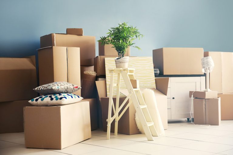 packinbg-and-moving-online-packers-and-movers (5)