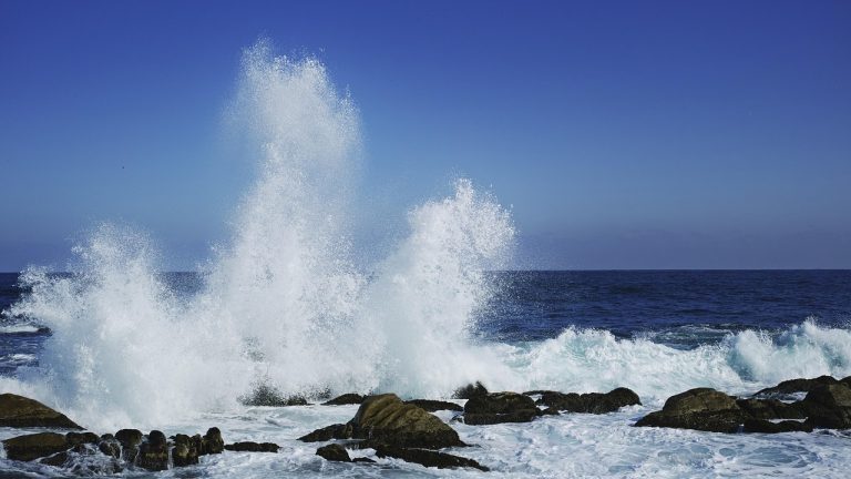 Waves, east sea, breaking waves — The Efficiency of Miele Washing Machines