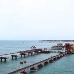 Tamil Nadu project cancellations