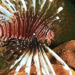 exotic wildlife trips